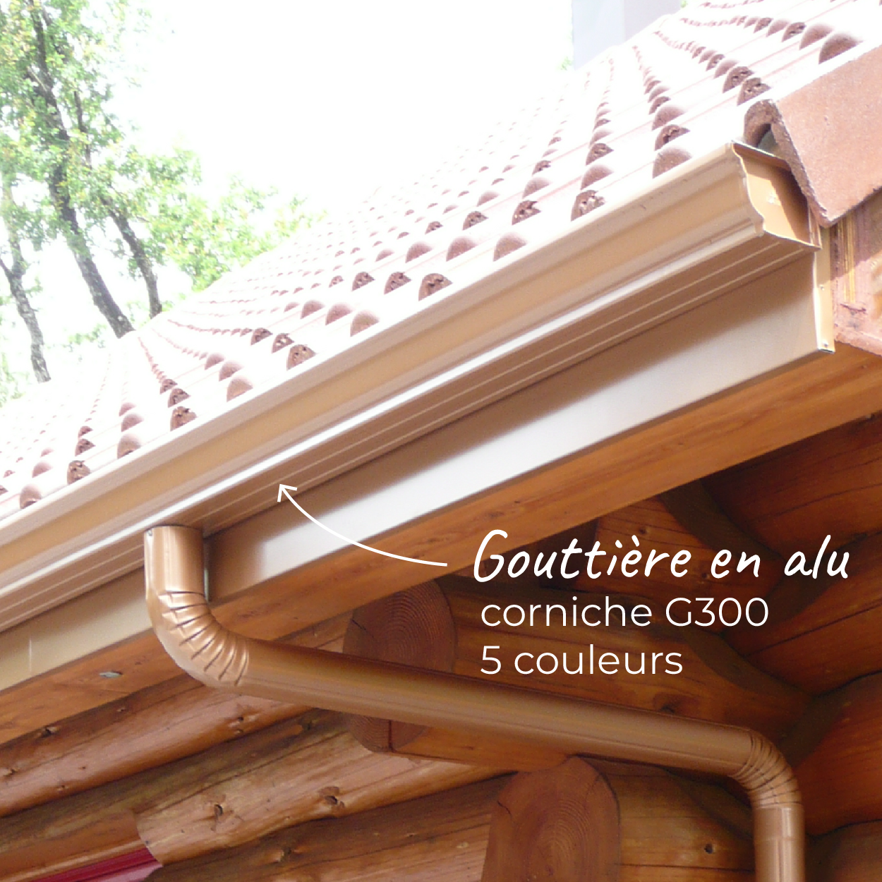 goutti-res-en-aluminium-g300-et-havraise-et-accessoires-pour-toiture